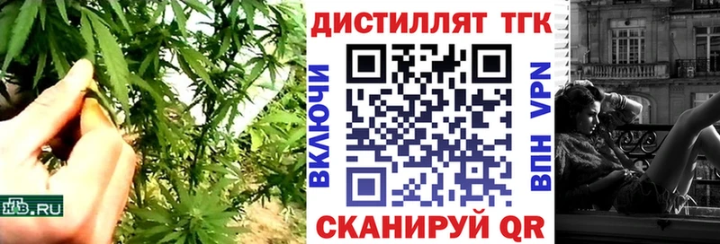 ТГК концентрат Терек